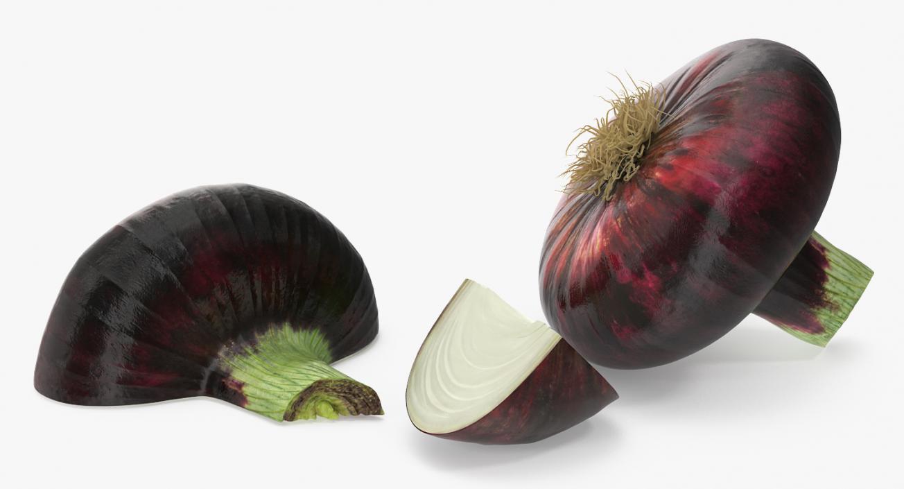 3D model Red Onion Collection