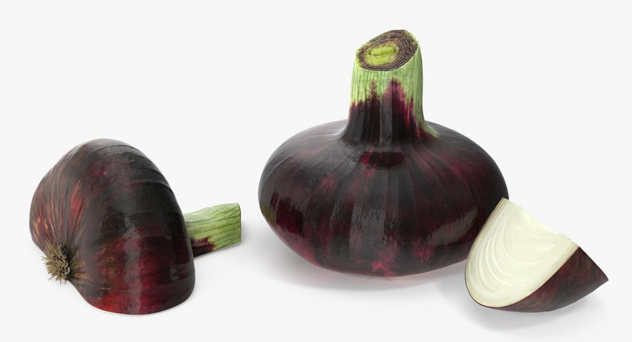 3D model Red Onion Collection