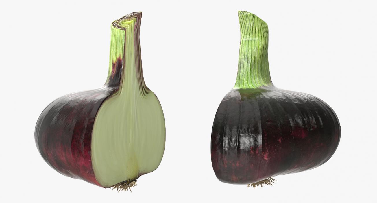 3D model Red Onion Collection