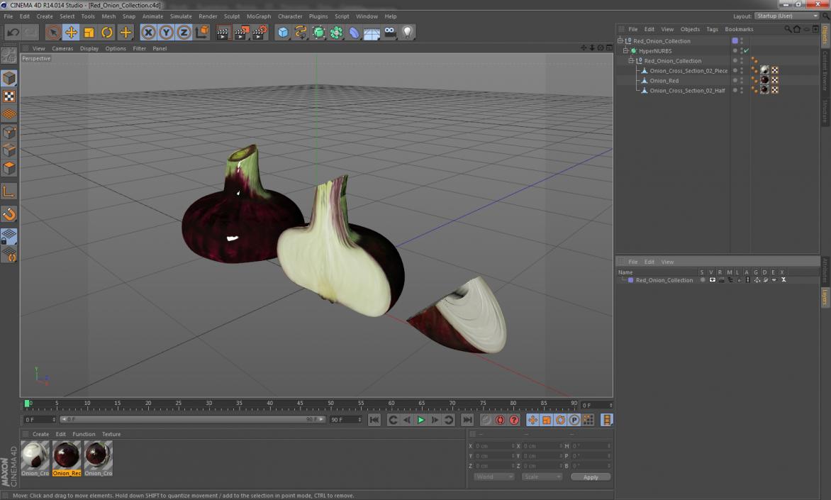 3D model Red Onion Collection