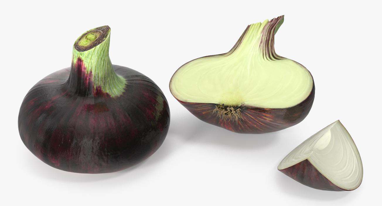 3D model Red Onion Collection