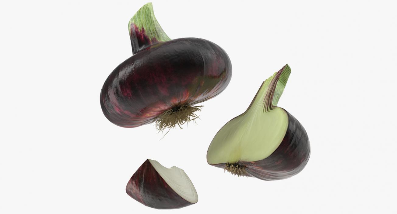 3D model Red Onion Collection