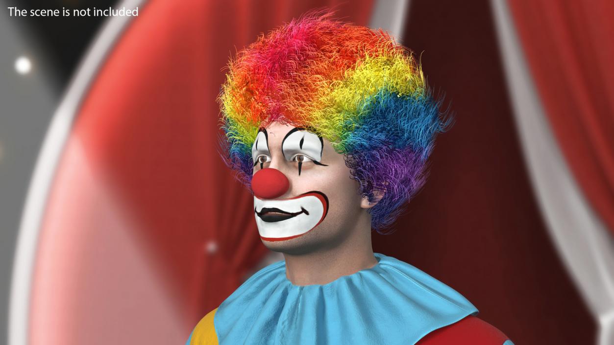 3D Clown Wig Fur model