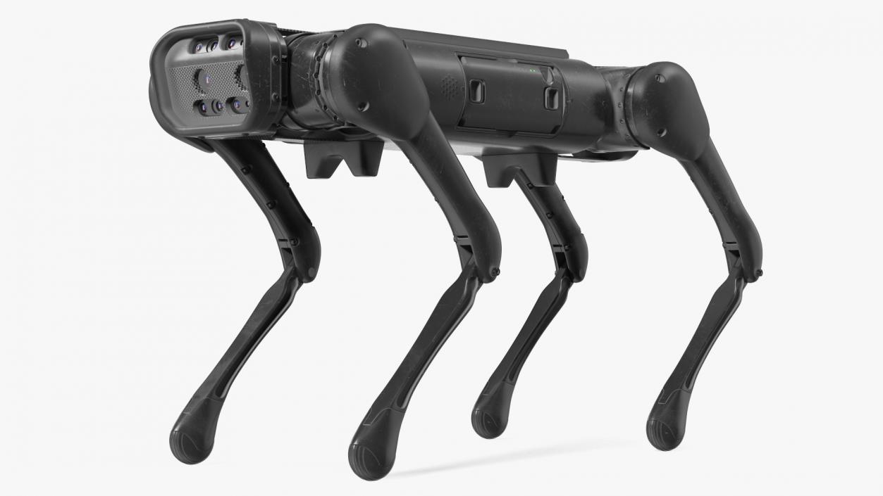 3D model Dirty Robot Dog