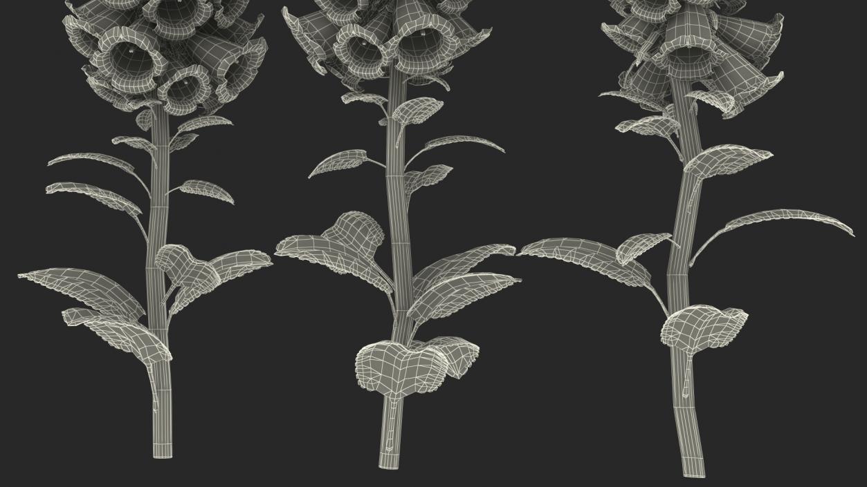 3D model White Foxglove Plants Set