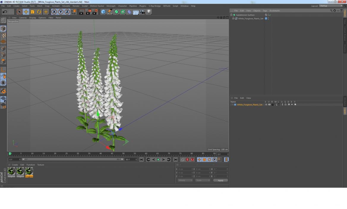 3D model White Foxglove Plants Set