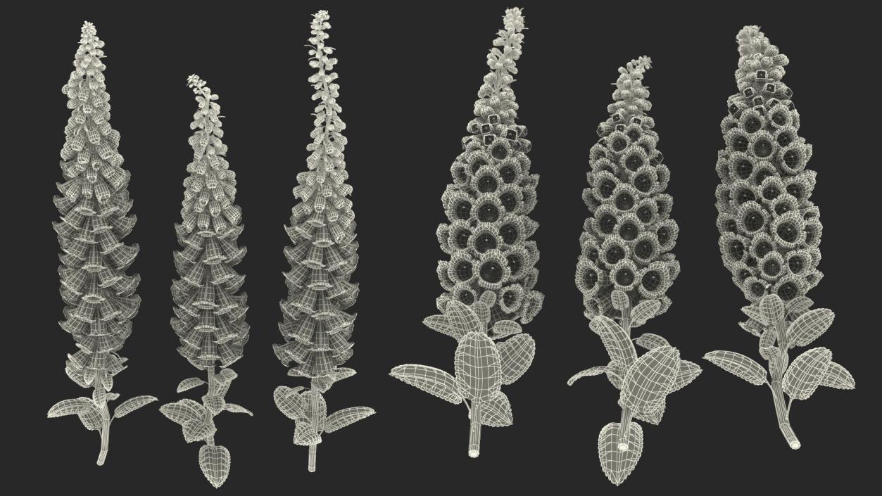 3D model White Foxglove Plants Set