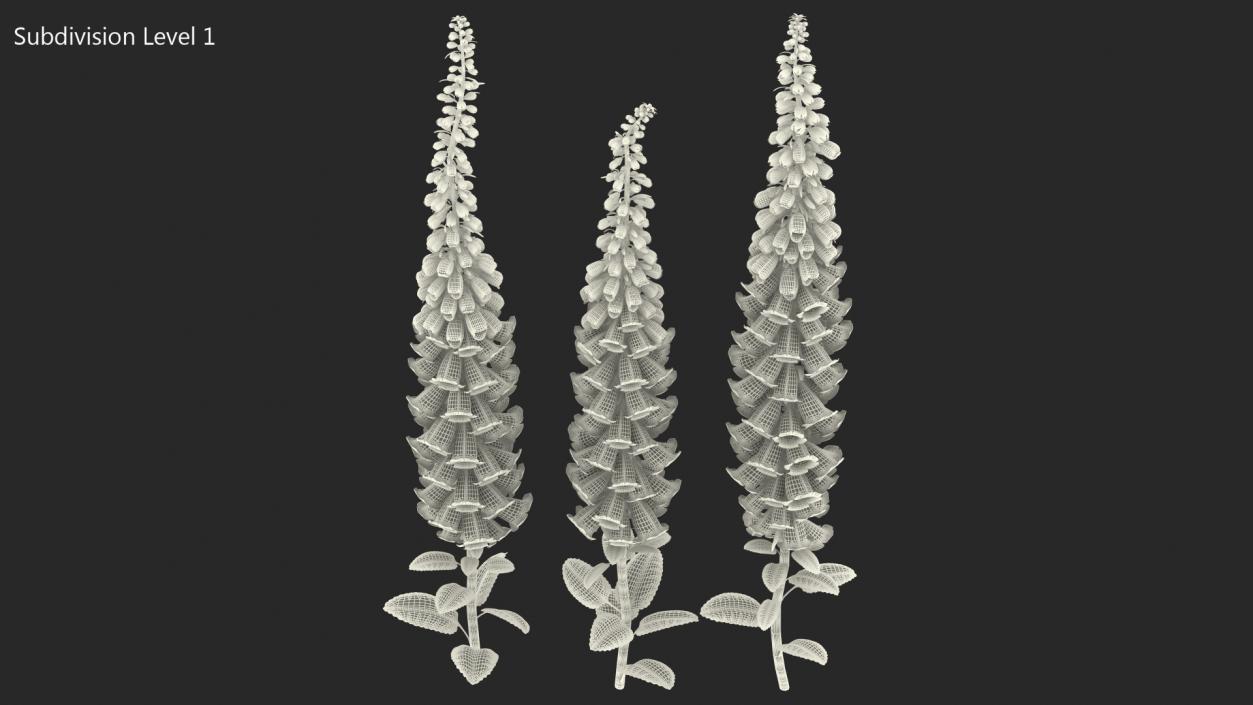 3D model White Foxglove Plants Set