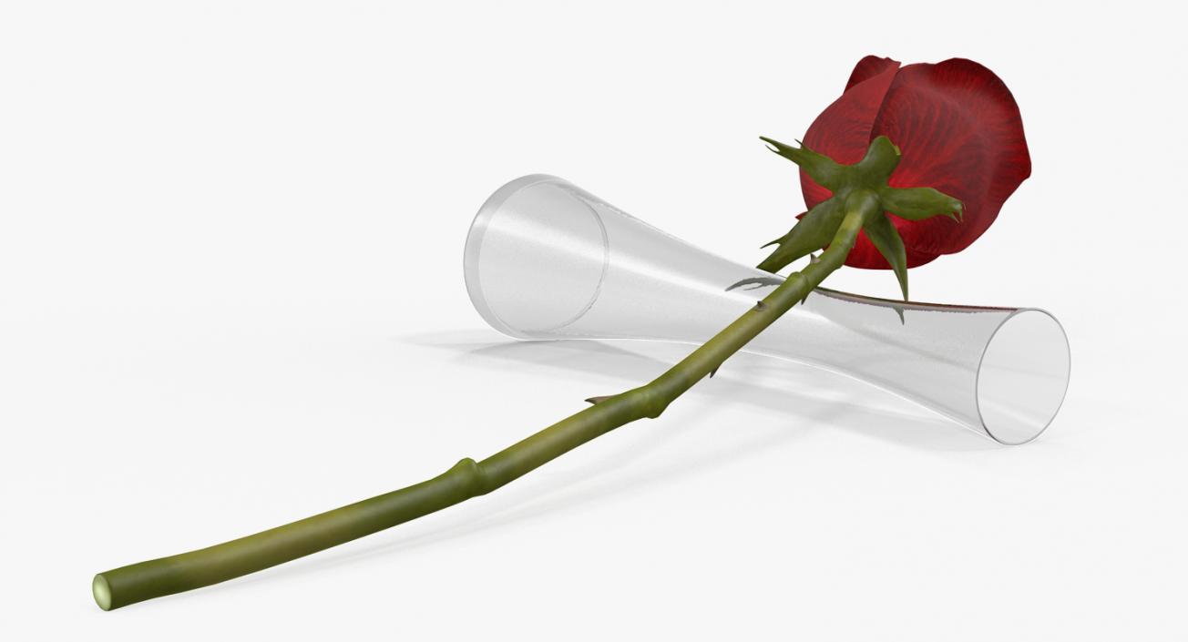 Flowers in Vases Collection 8 3D model