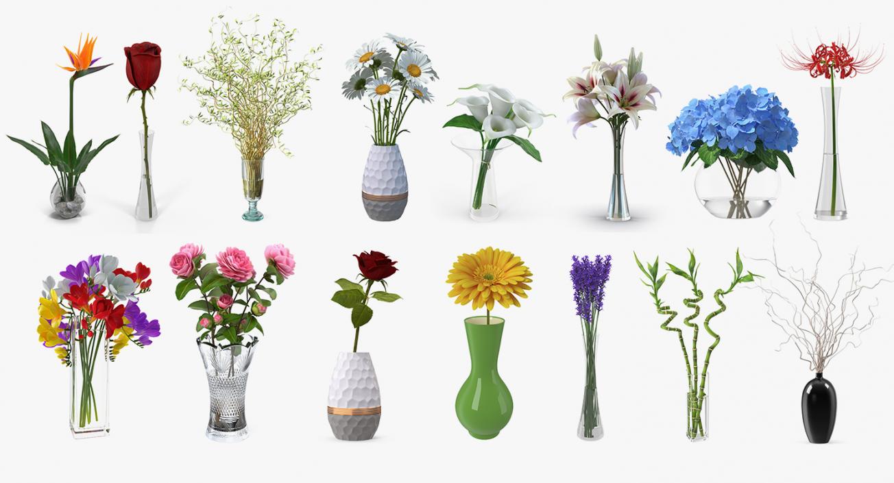 Flowers in Vases Collection 8 3D model