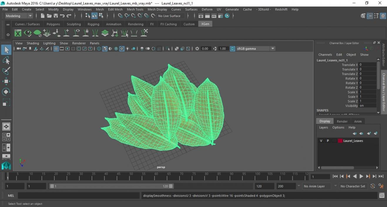 3D Laurel Leaves model