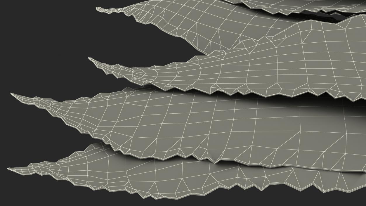 3D Laurel Leaves model