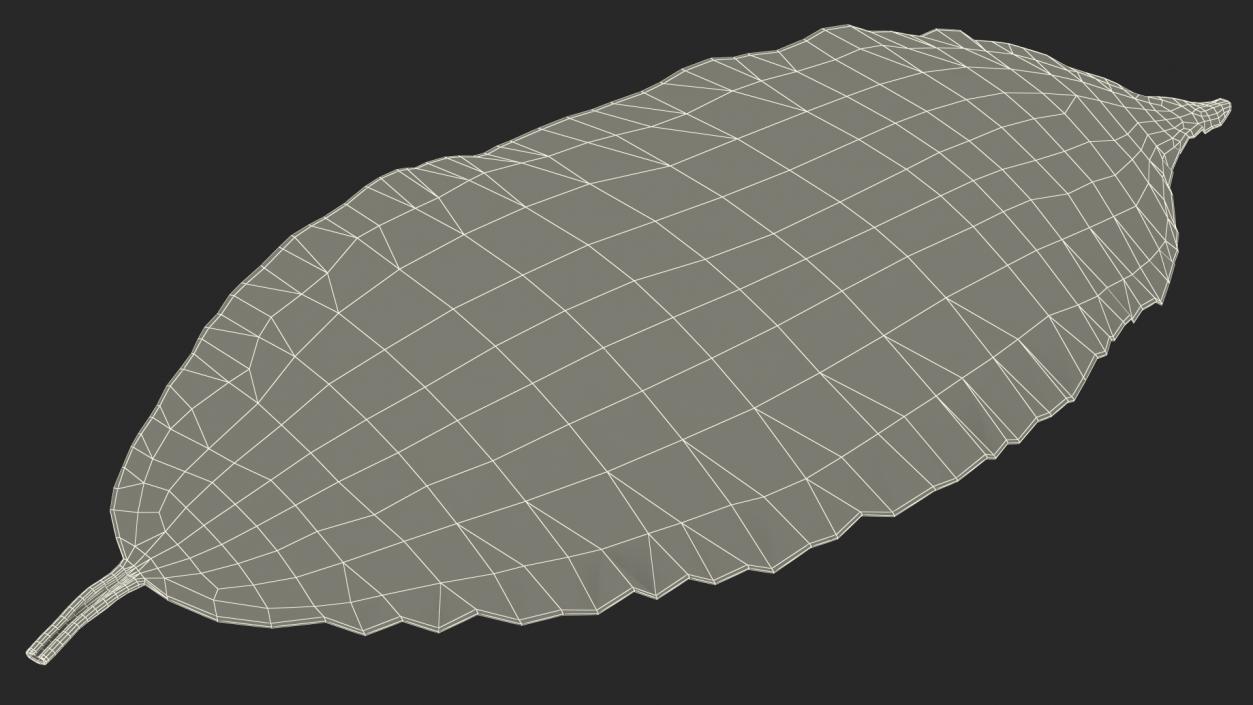 3D Laurel Leaves model