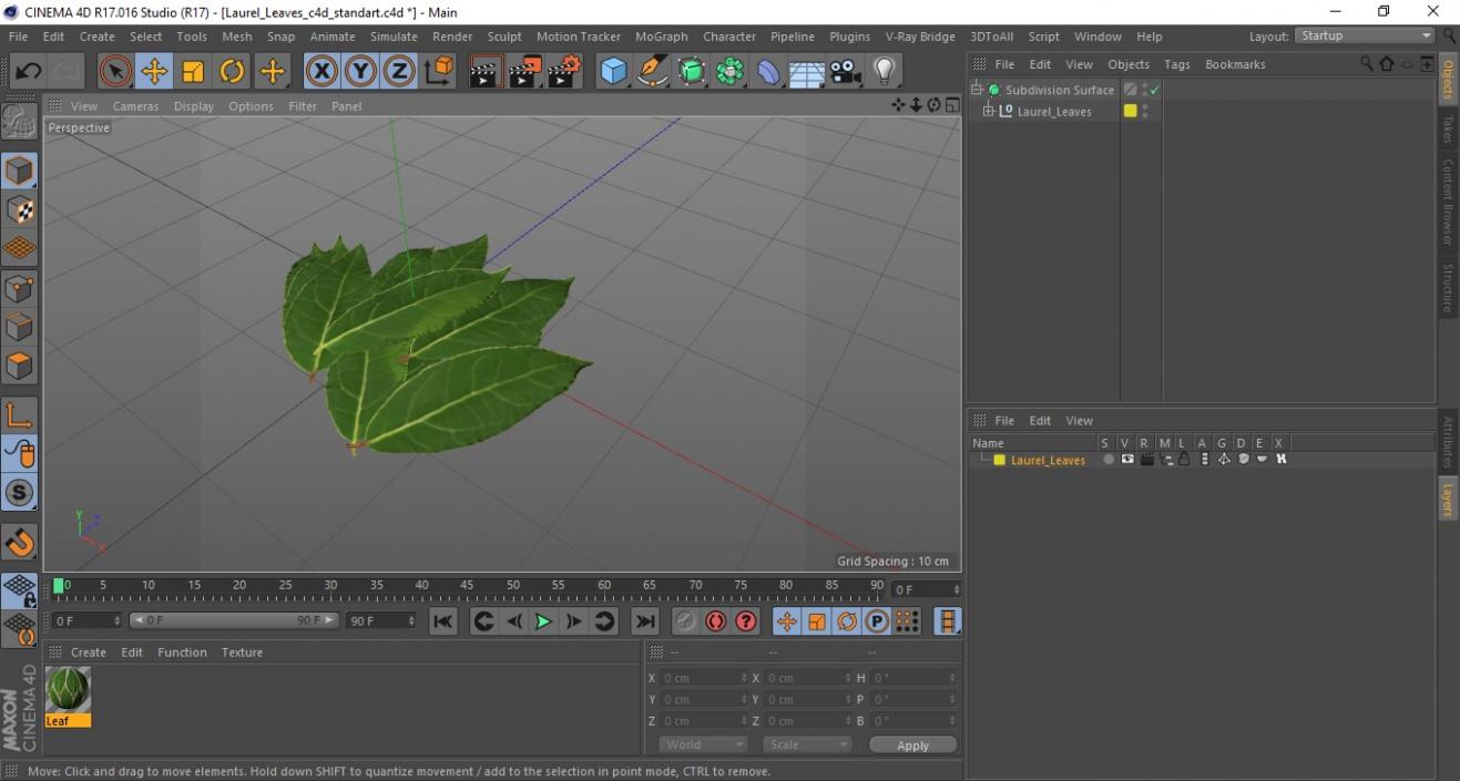 3D Laurel Leaves model