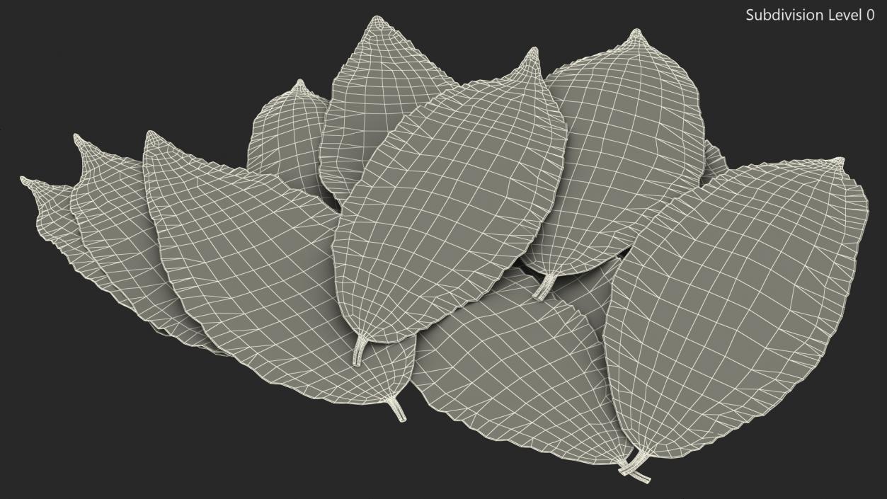 3D Laurel Leaves model