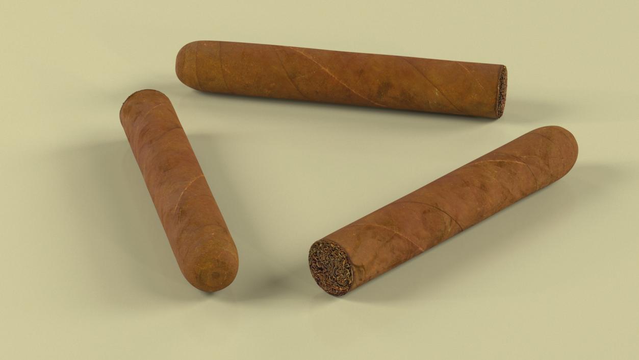 Cuban Cigar Short 2 3D model