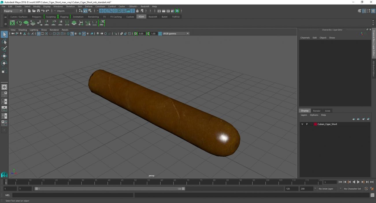 Cuban Cigar Short 2 3D model