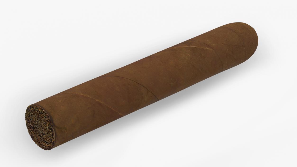 Cuban Cigar Short 2 3D model