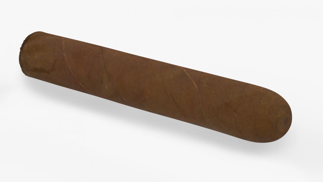 Cuban Cigar Short 2 3D model