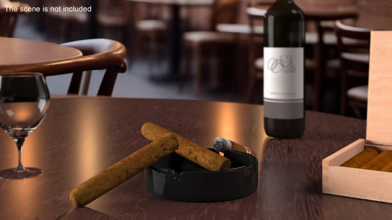 Cuban Cigar Short 2 3D model