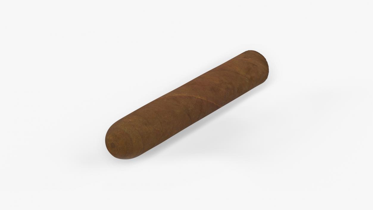 Cuban Cigar Short 2 3D model