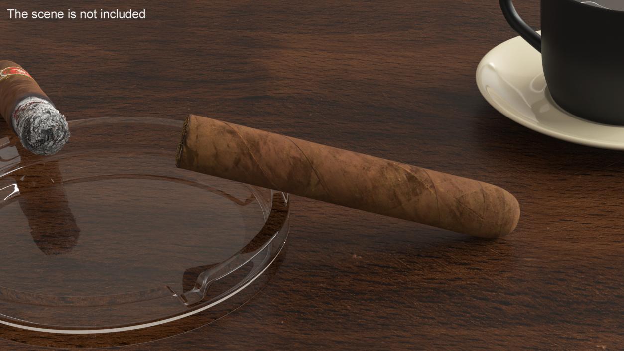 Cuban Cigar Short 2 3D model