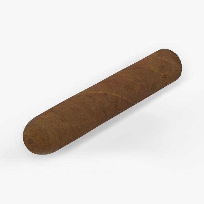 Cuban Cigar Short 2 3D model