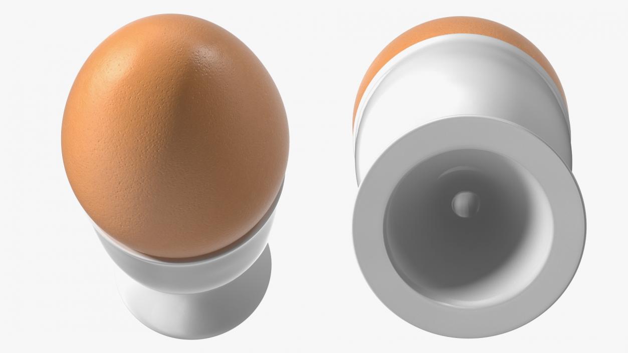 Egg Cup with Brown Egg 3D