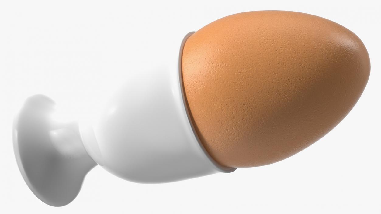 Egg Cup with Brown Egg 3D