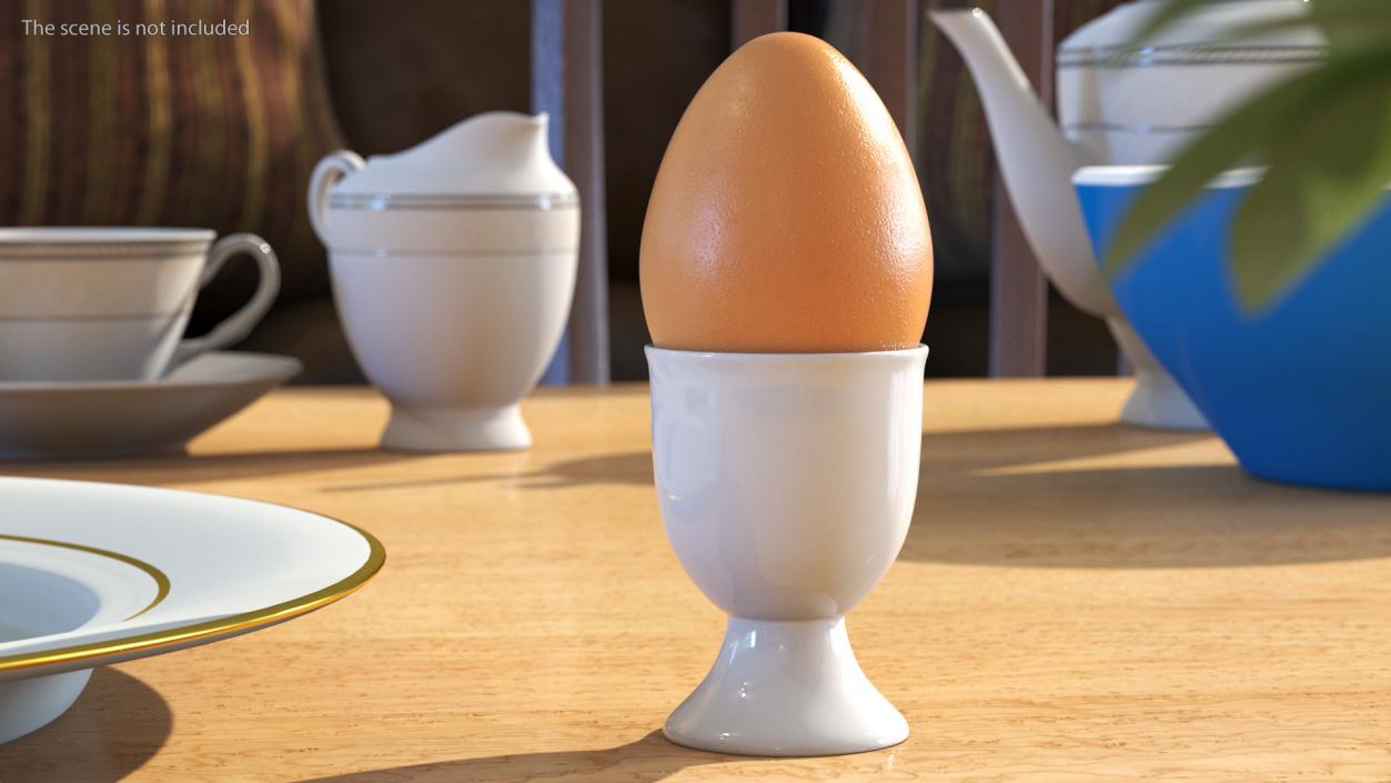 Egg Cup with Brown Egg 3D