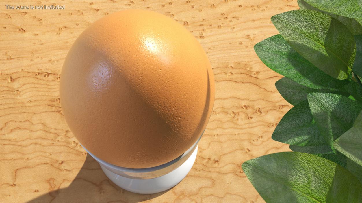 Egg Cup with Brown Egg 3D