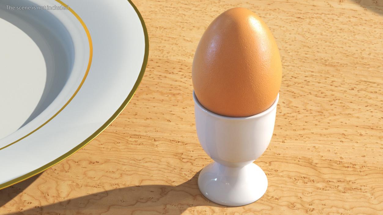 Egg Cup with Brown Egg 3D