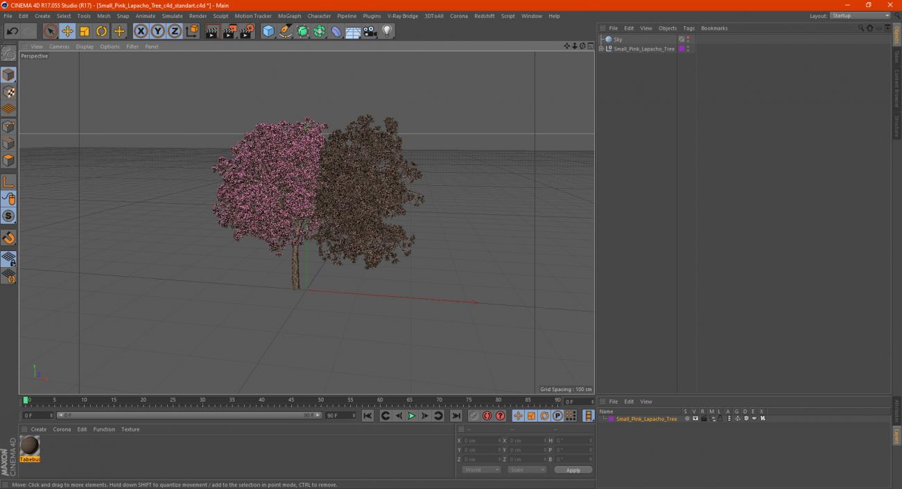 3D Small Pink Lapacho Tree model