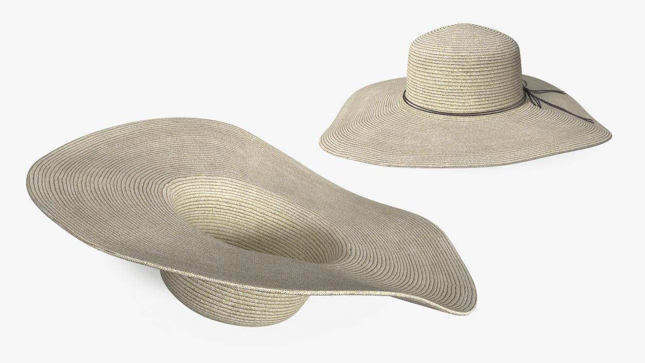 Journey Straw Hat 3D