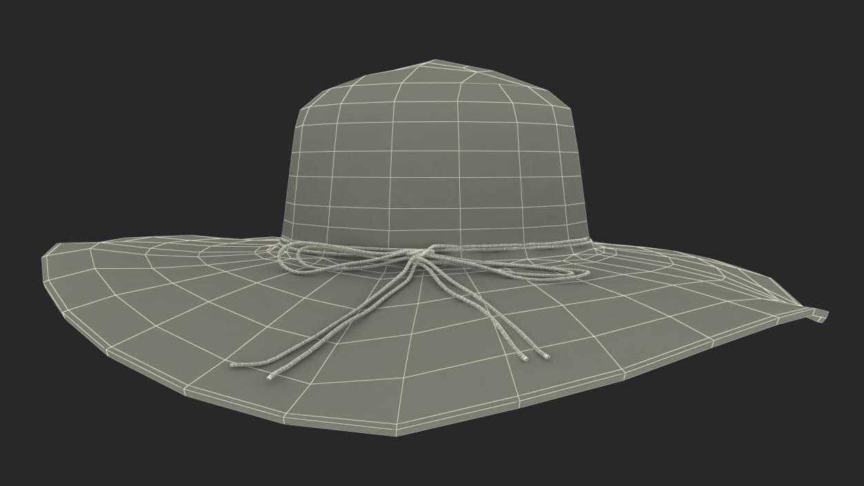 Journey Straw Hat 3D