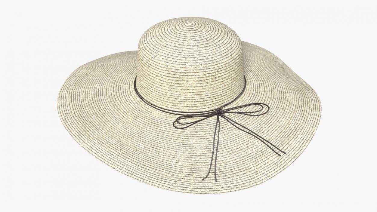 Journey Straw Hat 3D