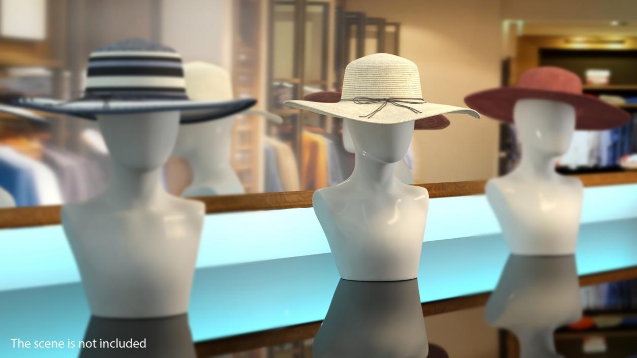 Journey Straw Hat 3D