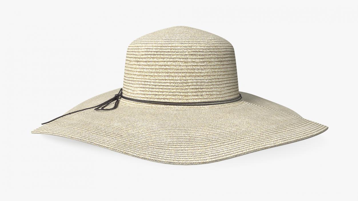 Journey Straw Hat 3D