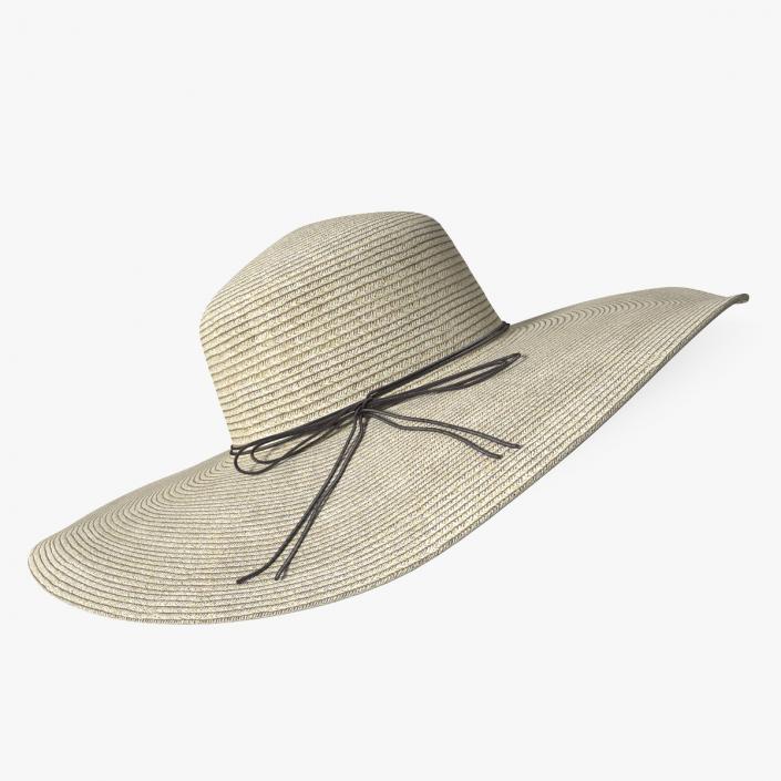 Journey Straw Hat 3D