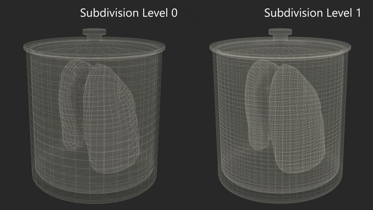 3D Human Lungs in Old Glass Jar model