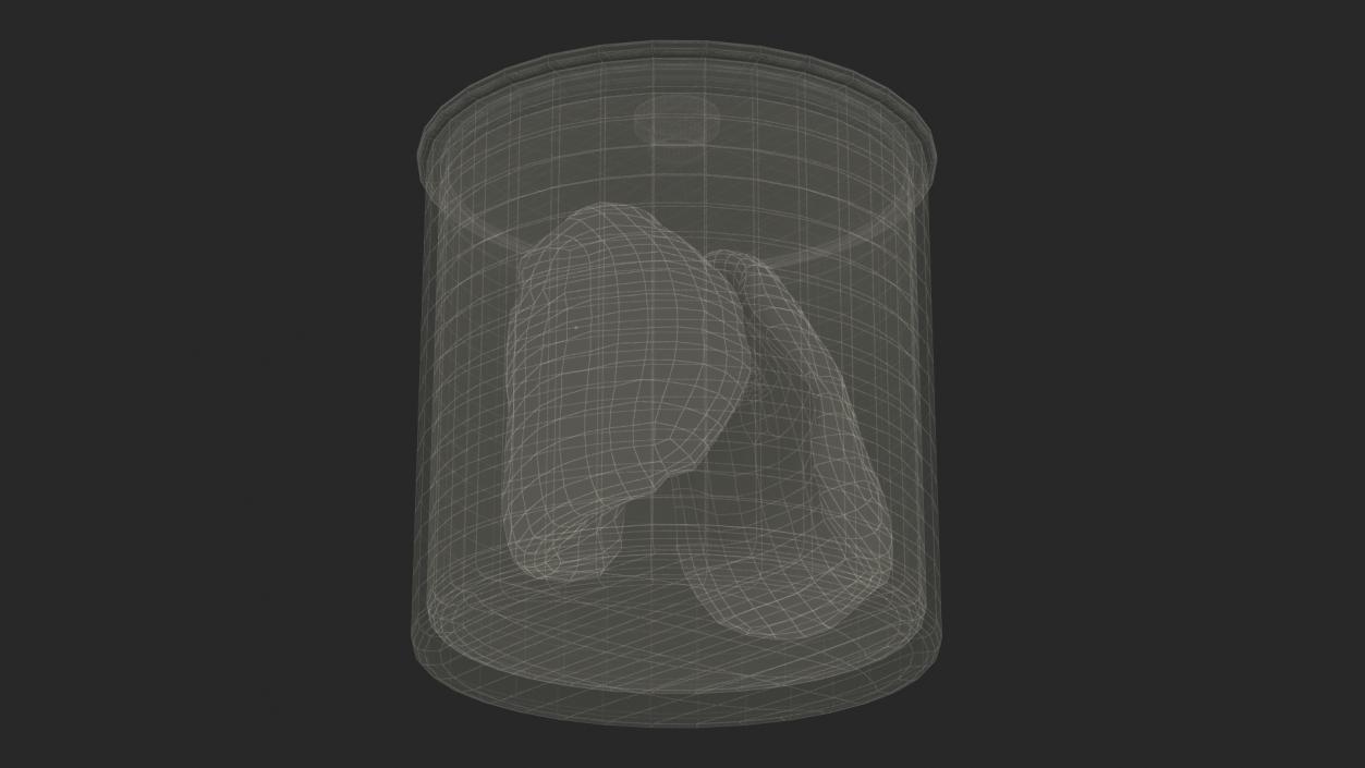 3D Human Lungs in Old Glass Jar model