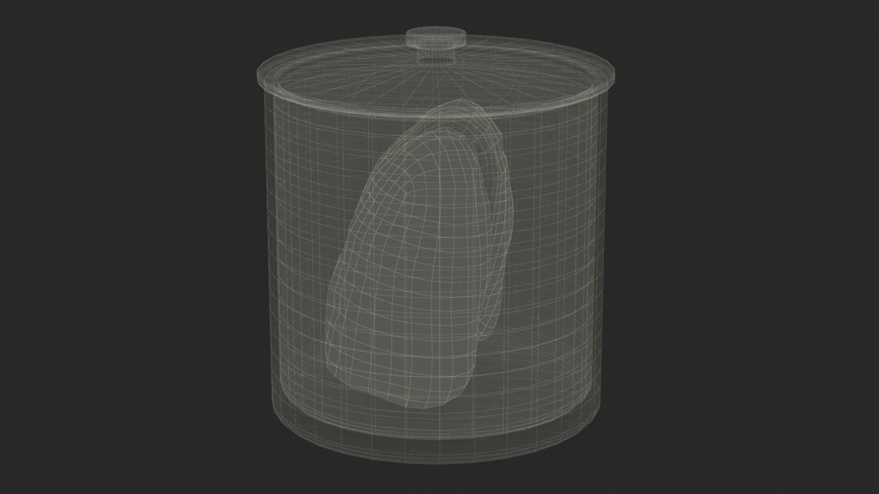 3D Human Lungs in Old Glass Jar model