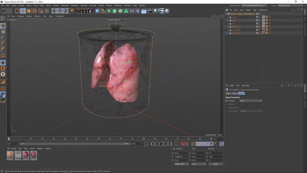 3D Human Lungs in Old Glass Jar model