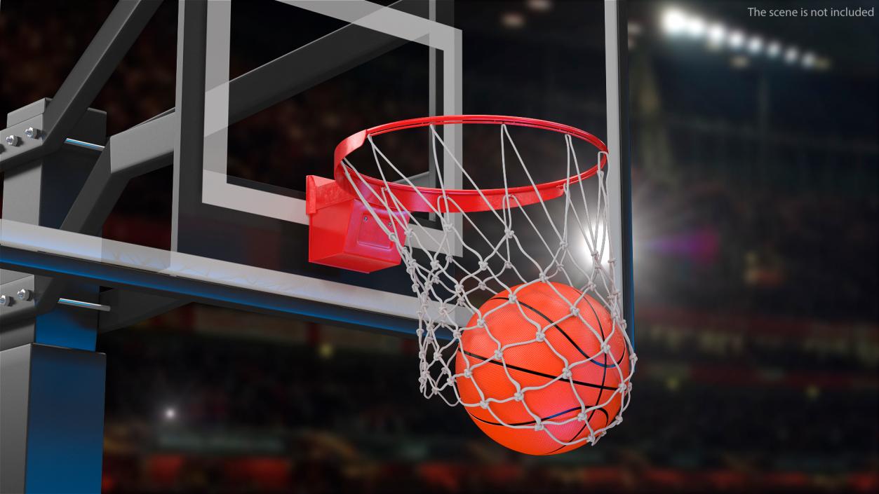 Animated Basketball Falls Through the Net(1) 3D model