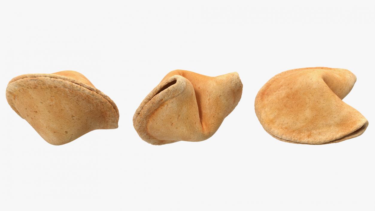 3D model Fortune Cookies