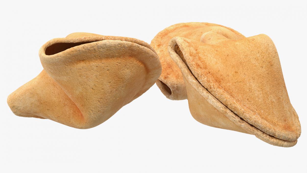 3D model Fortune Cookies