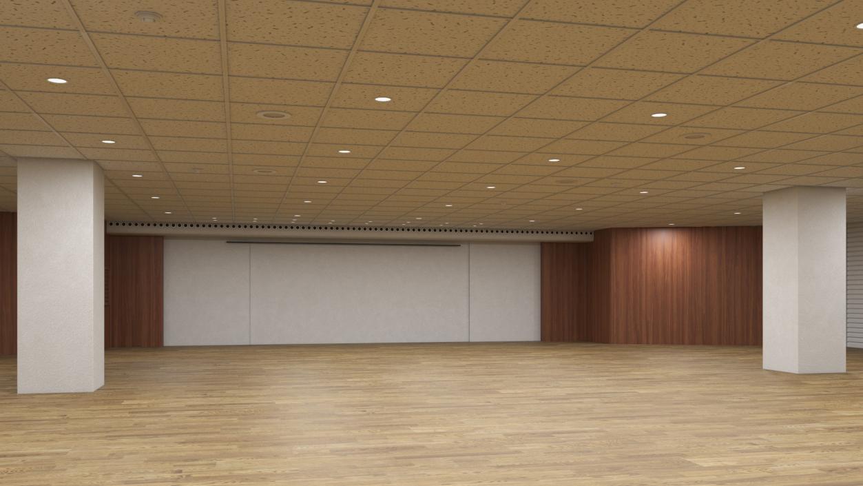 3D Large Conference Room