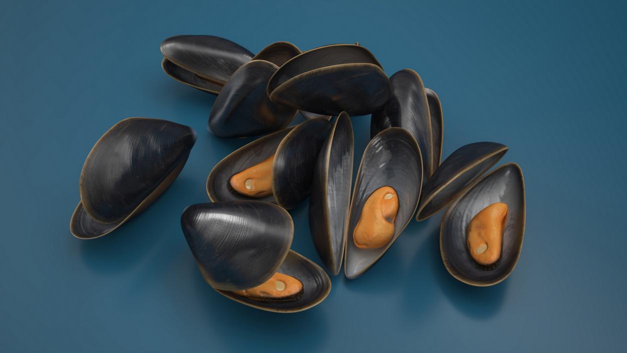 Pile of Boiled Mussels 3D