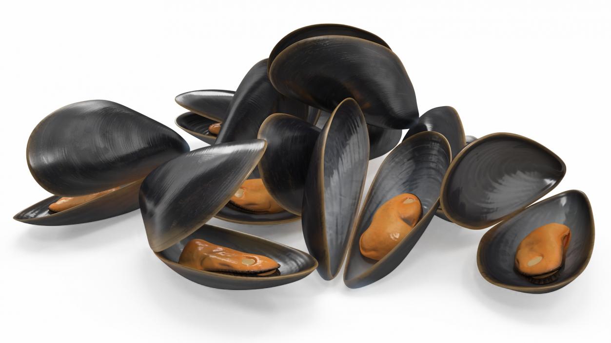 Pile of Boiled Mussels 3D