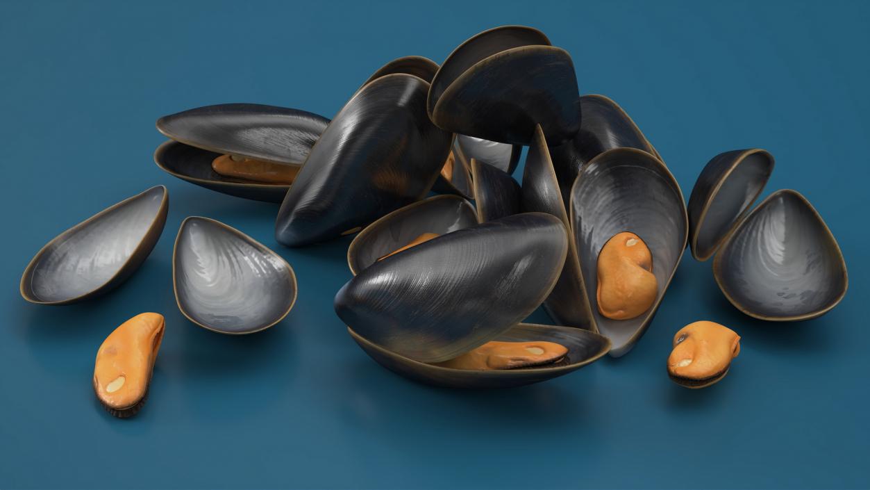 Pile of Boiled Mussels 3D